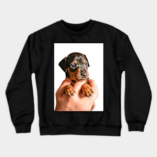 Black puppy in hand Crewneck Sweatshirt